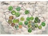 Mapa hrachu