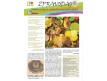 Elektronický Zpravodaj starých odrůd – salát 5/2021