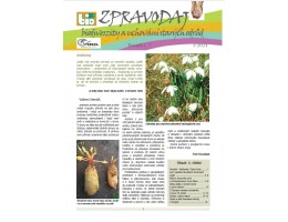 Elektronický Zpravodaj starých odrůd – 1/2024